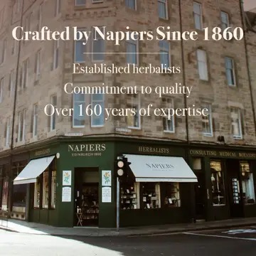 Napiers Creatine Powder 500g - Image 3