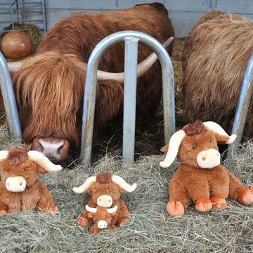 Mini Horny Highland Cow Plush Baby Soft Toy - 11cm - Image 3