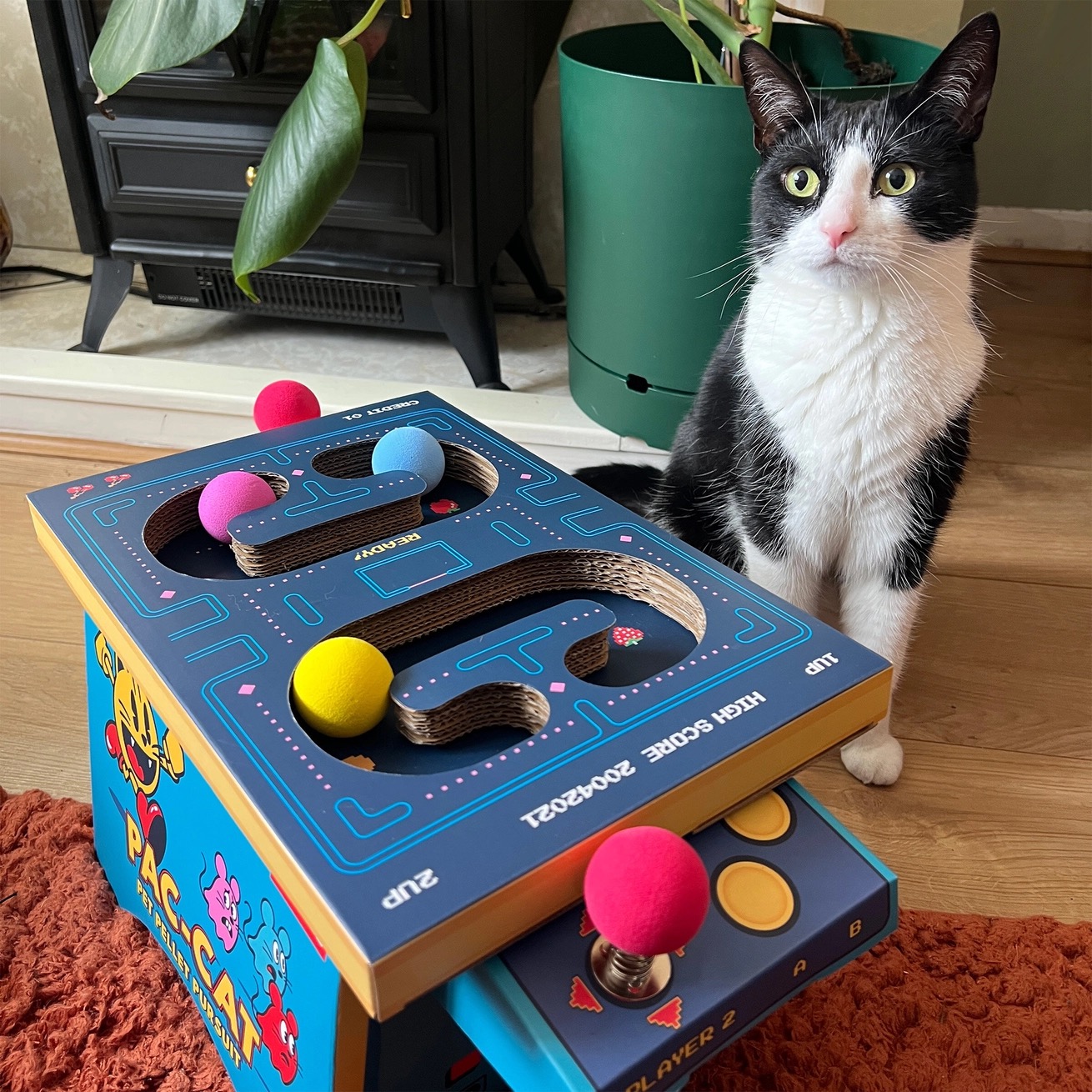 Cat Toy Arcade - Cardboard Pacman Inspired Arcade Machine - Image 7