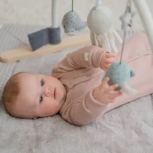 Flow Amsterdam Baby Gym - Ocean RRP £49.99