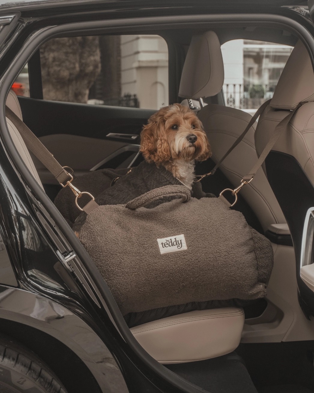 Chocolate | the Cosy Car Seat Teddy