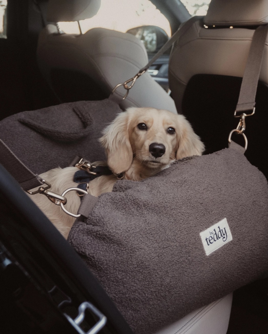 Chocolate | the Cosy Car Seat Teddy - Image 7