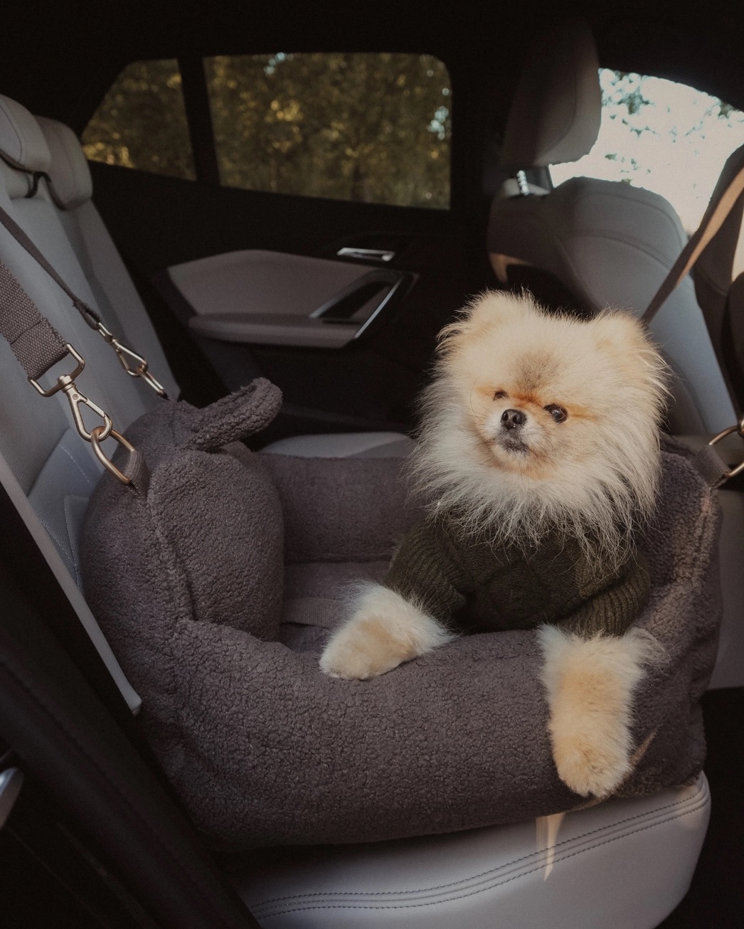 Chocolate | the Cosy Car Seat Teddy - Image 8