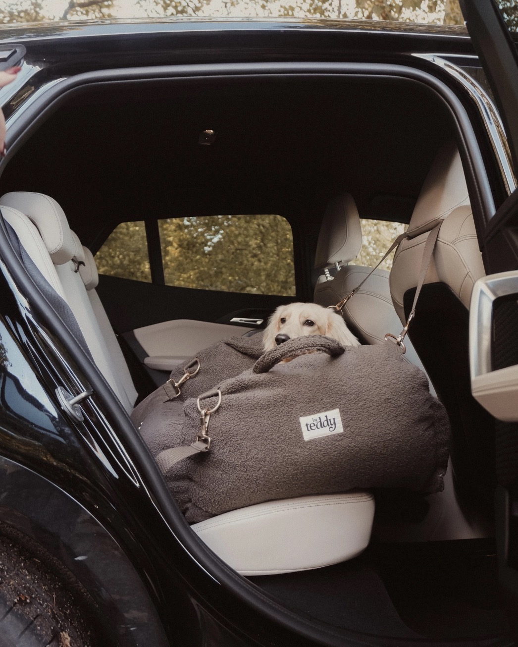Chocolate | the Cosy Car Seat Teddy - Image 5