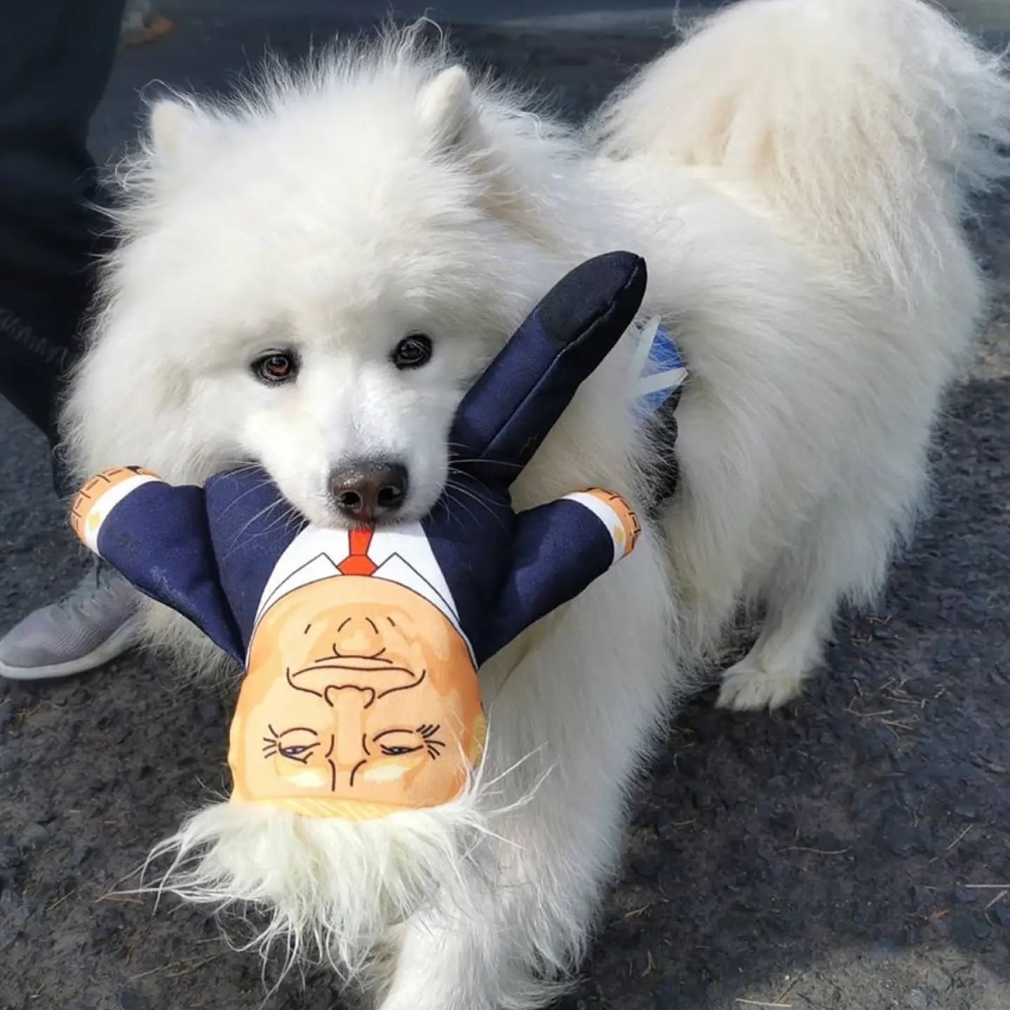 Donald Trump Dog Toy - Image 10
