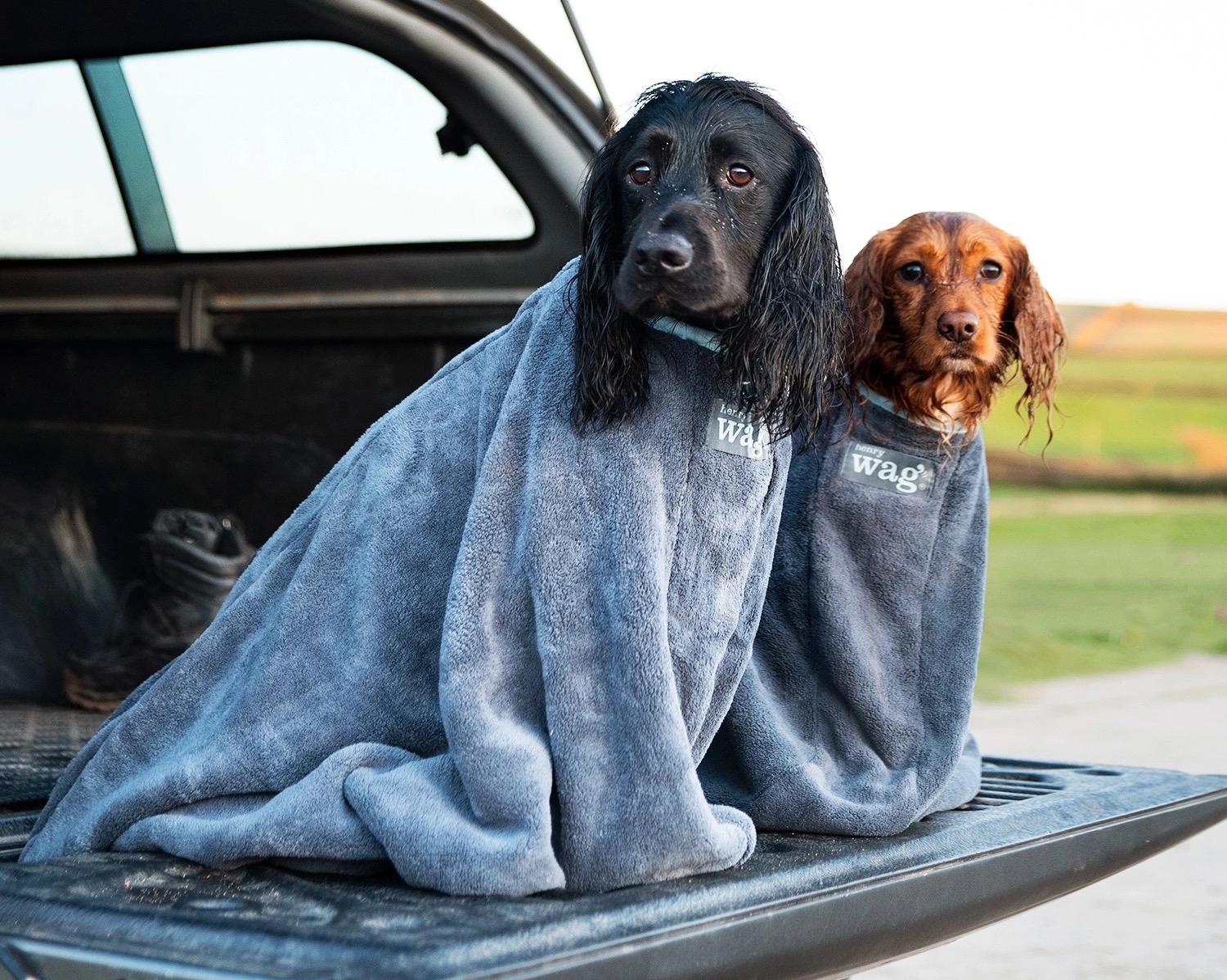 Henry Wag Dog Drying Bag