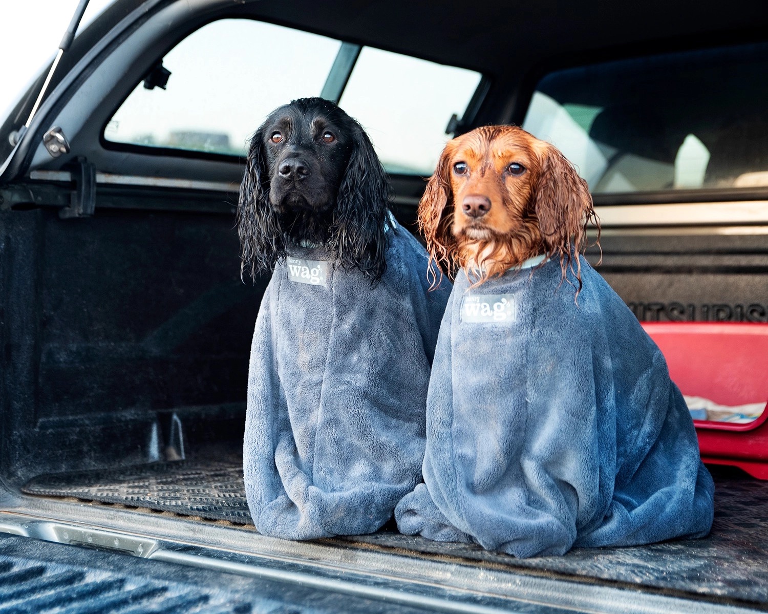Henry Wag Dog Drying Bag - Image 4